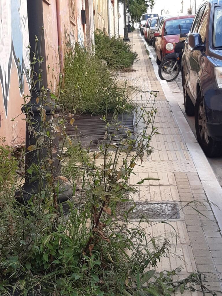 Πάτρα: Πεζοδρόμια «ζούγκλα» από χόρτα, παγίδες για πεζούς ΦΩΤΟ 29 Πάτρα: Πεζοδρόμια «ζούγκλα» από χόρτα, παγίδες για πεζούς ΦΩΤΟ