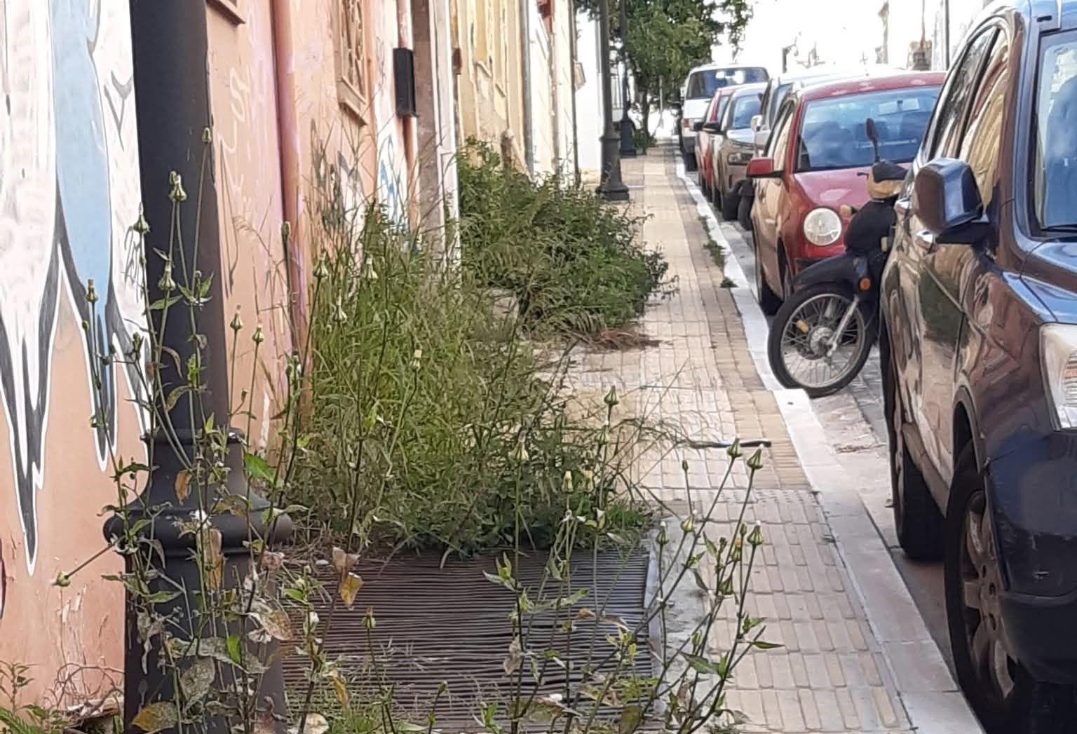 Πάτρα: Πεζοδρόμια «ζούγκλα» από χόρτα, παγίδες για πεζούς ΦΩΤΟ