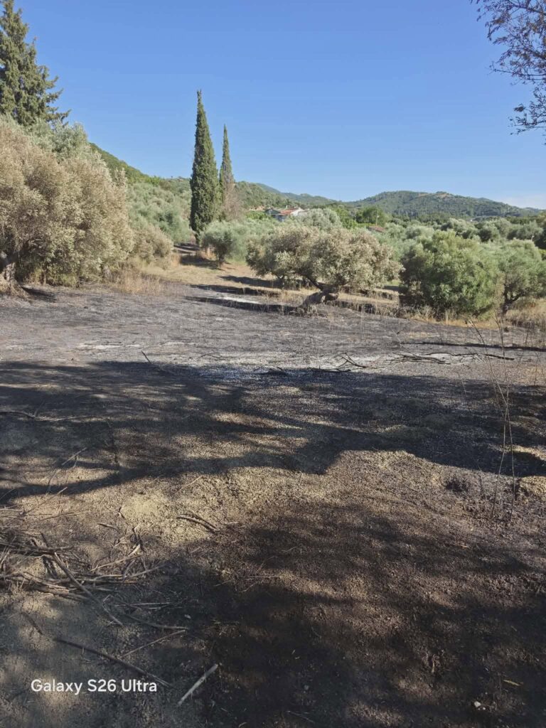 Αχαΐα: Στο «τσακ» σώθηκαν, από την φωτιά, τα Ζησιμαίικα, με τη συμβολή και εθελοντών ΦΩΤΟ 32 Αχαΐα: Στο «τσακ» σώθηκαν, από την φωτιά, τα Ζησιμαίικα, με τη συμβολή και εθελοντών ΦΩΤΟ
