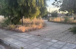 Εγλυκάδα χαράς παιδικής