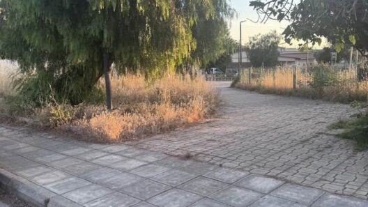 Εγλυκάδα: Η εγκατάλειψη Παιδικής χαράς, πίσω από ναό, εγείρει διαμαρτυρίες γονέων ΦΩΤΟ 36 Εγλυκάδα χαράς παιδικής