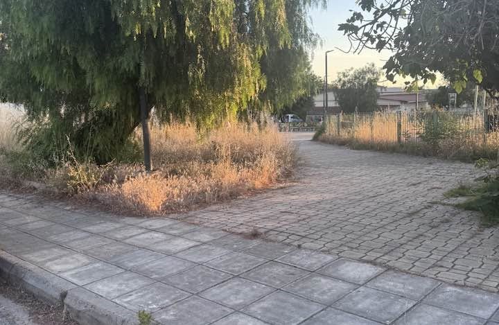 Εγλυκάδα χαράς παιδικής