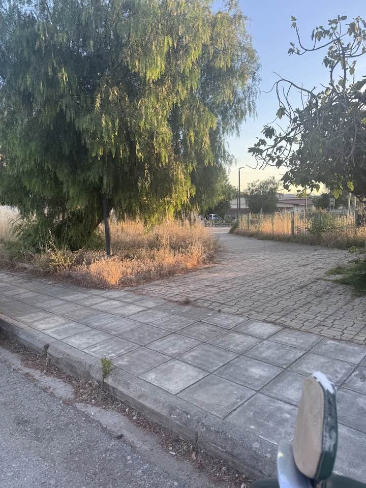 Εγλυκάδα: Η εγκατάλειψη Παιδικής χαράς, πίσω από ναό, εγείρει διαμαρτυρίες γονέων ΦΩΤΟ 29 Εγλυκάδα: Η εγκατάλειψη Παιδικής χαράς, πίσω από ναό, εγείρει διαμαρτυρίες γονέων ΦΩΤΟ