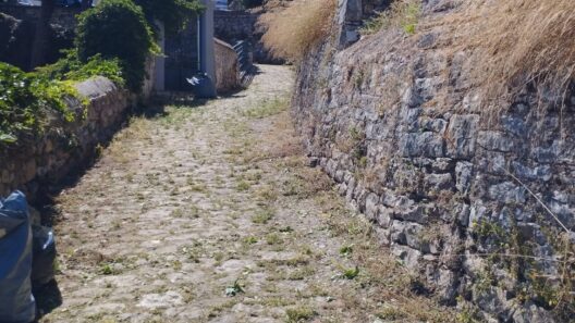 Αίγιο: Ανέδειξαν καλντερίμι και έπονται τα σκαλάκια στη Σπηλιά ΦΩΤΟ 43 Αίγιο: Ανέδειξαν καλντερίμι και έπονται τα σκαλάκια στη Σπηλιά ΦΩΤΟ