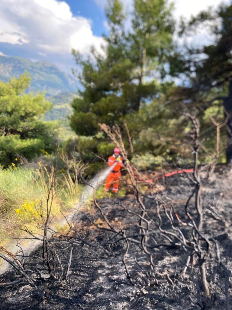 Ακράτα: Mεγάλη επιχείρηση της Πυροσβεστικής για δασική φωτιά από κεραυνό ΦΩΤΟ 31 Ακράτα: Mεγάλη επιχείρηση της Πυροσβεστικής για δασική φωτιά από κεραυνό ΦΩΤΟ