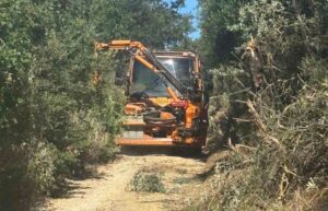 Δυτική Αχαΐα: Ειδικοί καθαρισμοί δρόμων για ορατότητα