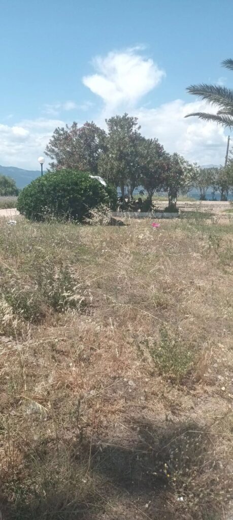 Πάτρα: Το Πάρκο, απέναντι από τον ΙΝ Αγίου Ανδρέα...απέκτησε «ποτάμι» ΦΩΤΟ 32 Πάτρα: Το Πάρκο, απέναντι από τον ΙΝ Αγίου Ανδρέα...απέκτησε «ποτάμι» ΦΩΤΟ