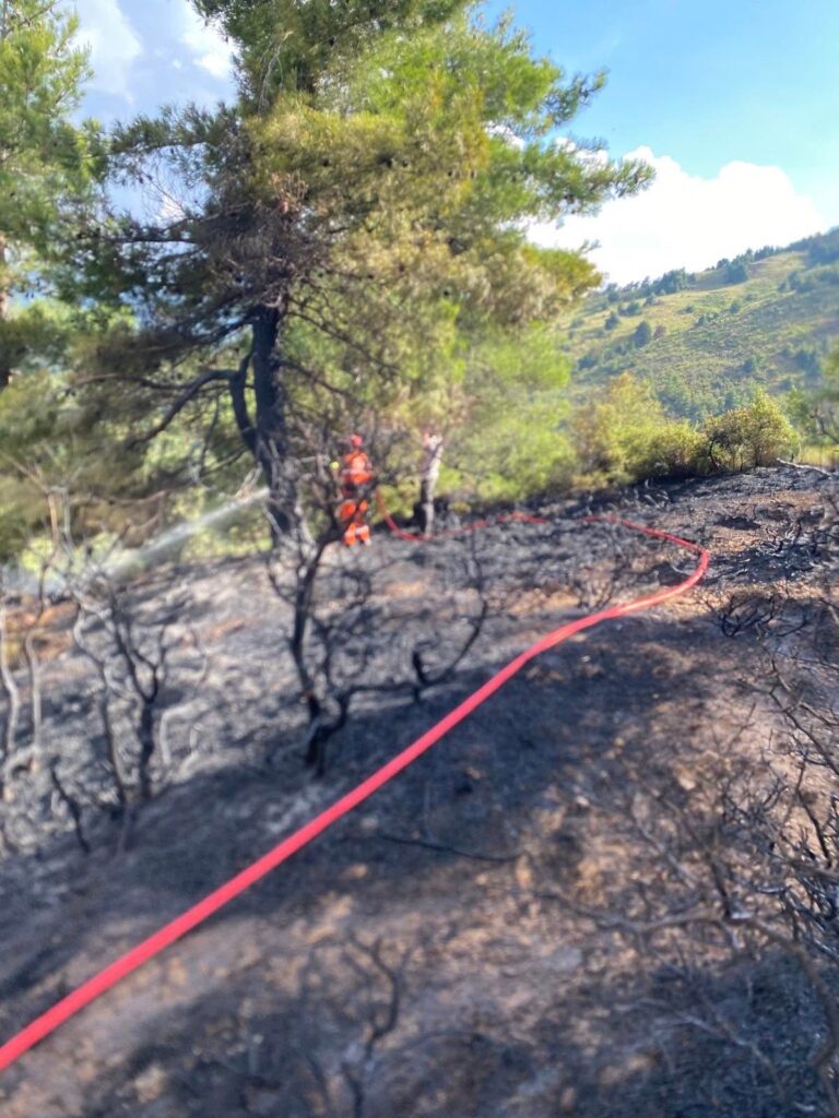Ακράτα: Mεγάλη επιχείρηση της Πυροσβεστικής για δασική φωτιά από κεραυνό ΦΩΤΟ 29 Ακράτα: Mεγάλη επιχείρηση της Πυροσβεστικής για δασική φωτιά από κεραυνό ΦΩΤΟ