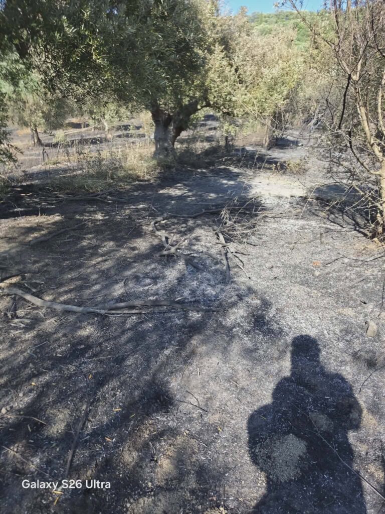 Αχαΐα: Στο «τσακ» σώθηκαν, από την φωτιά, τα Ζησιμαίικα, με τη συμβολή και εθελοντών ΦΩΤΟ 33 Αχαΐα: Στο «τσακ» σώθηκαν, από την φωτιά, τα Ζησιμαίικα, με τη συμβολή και εθελοντών ΦΩΤΟ