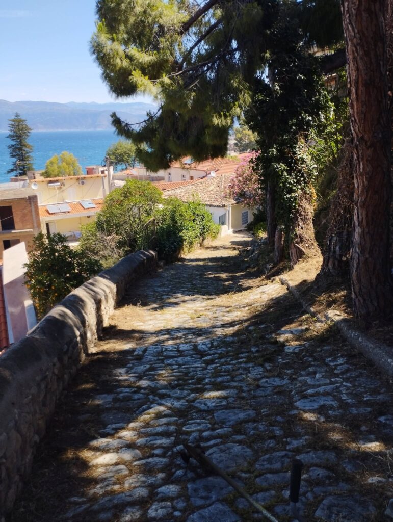 Αίγιο: Ανέδειξαν καλντερίμι και έπονται τα σκαλάκια στη Σπηλιά ΦΩΤΟ 29 Αίγιο: Ανέδειξαν καλντερίμι και έπονται τα σκαλάκια στη Σπηλιά ΦΩΤΟ