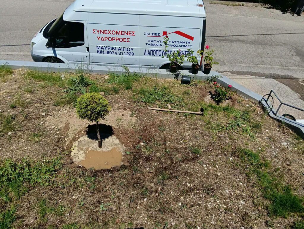 Με λουλούδια, στον σύλλογο, ομόρφυνε η είσοδος στο Μαυρίκι Αιγίου ΦΩΤΟ 37 Με λουλούδια, στον σύλλογο, ομόρφυνε η είσοδος στο Μαυρίκι Αιγίου ΦΩΤΟ