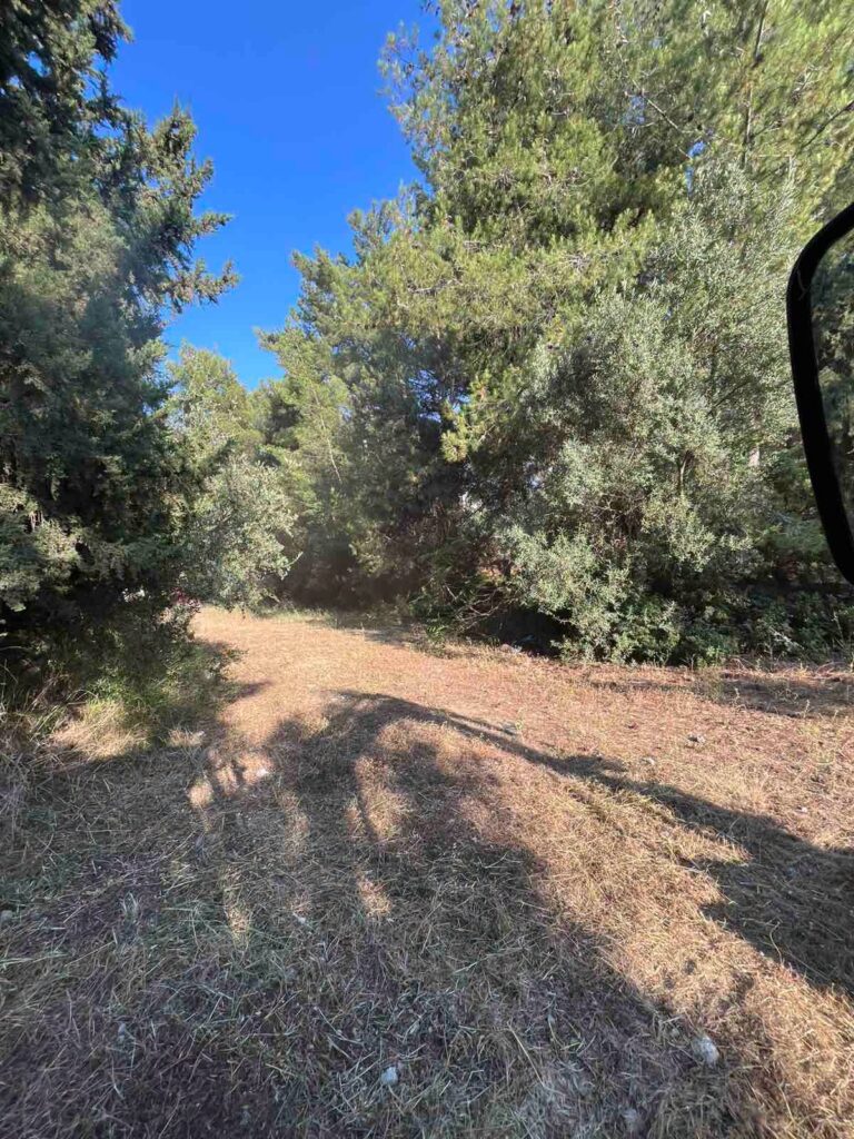 Αχαΐα: Η Περιφέρεια καθαρίζει τα οικόπεδά της για προφύλαξη από πυρκαγιές ΦΩΤΟ 32 Αχαΐα: Η Περιφέρεια καθαρίζει τα οικόπεδά της για προφύλαξη από πυρκαγιές ΦΩΤΟ