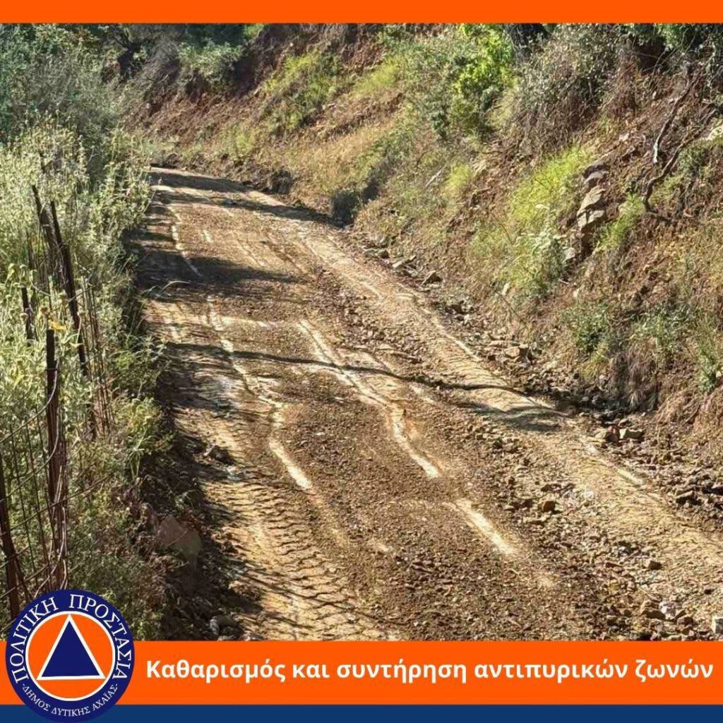 Δυτική Αχαϊα: Με καθαρισμό αντιπυρικών ζωνών θωρακίζεται από πυρκαγιές ΦΩΤΟ 7 Δυτική Αχαϊα: Με καθαρισμό αντιπυρικών ζωνών θωρακίζεται από πυρκαγιές ΦΩΤΟ