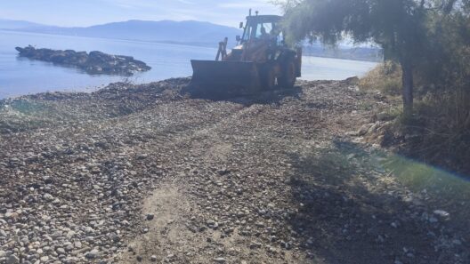 Κάτω Αλισσός: Εγινε αλλιώτικη η παραλία, χωρίς φύκια και πέτρες ΦΩΤΟ 36 Κάτω Αλισσός χωρίς φύκια