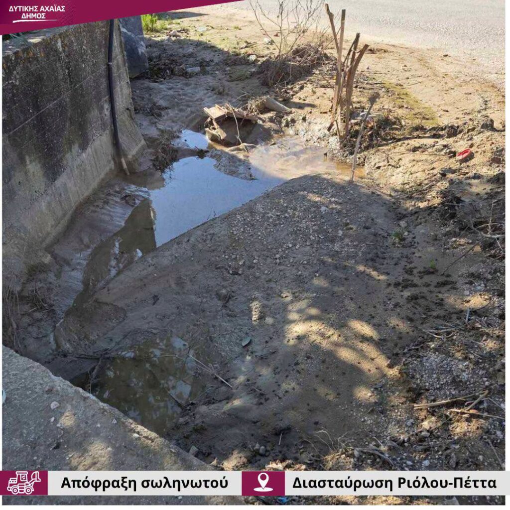Δυτική Αχαϊα: «Τρύπωσαν» σε μεγάλο σωλήνα αποχέτευσης...και τι δεν είχε μέσα! ΦΩΤΟ 29 Δυτική Αχαϊα: «Τρύπωσαν» σε μεγάλο σωλήνα αποχέτευσης...και τι δεν είχε μέσα! ΦΩΤΟ