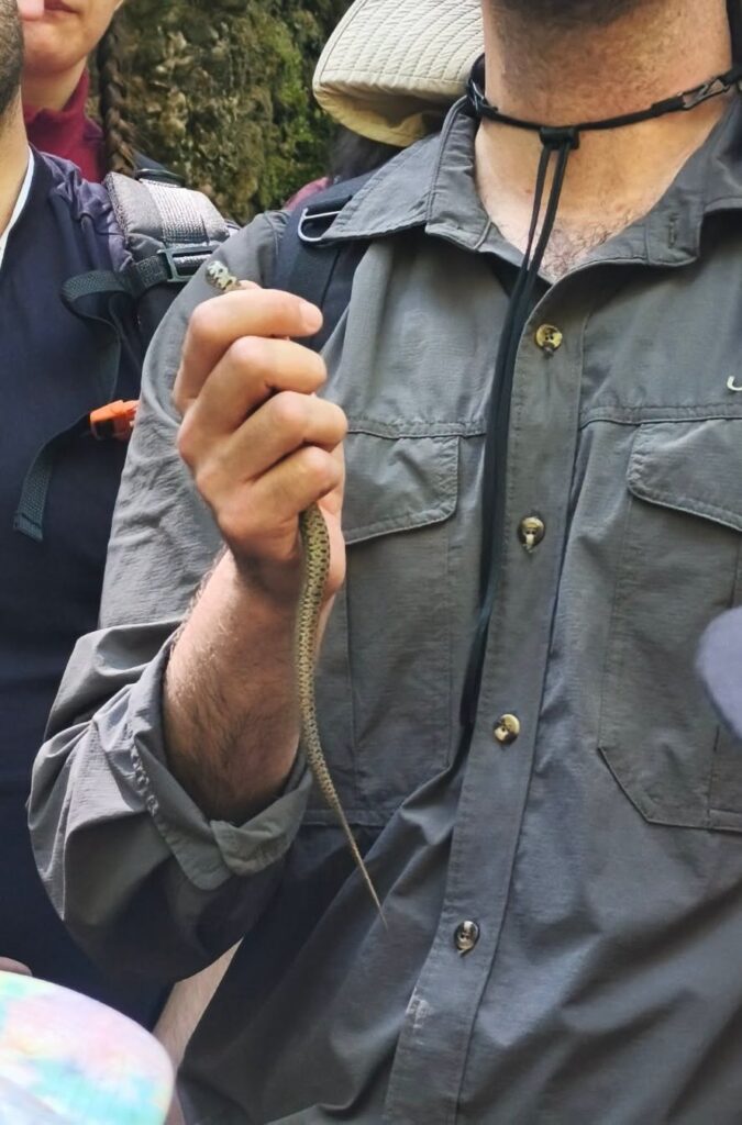 Ο ΕΟΣ Πάτρας στον Λαδοπόταμο για το BioBlitz ΦΩΤΟ 30 Ο ΕΟΣ Πάτρας στον Λαδοπόταμο για το BioBlitz ΦΩΤΟ