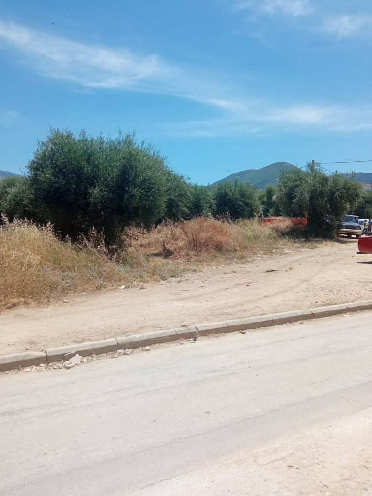 Πάτρα: «Πύρινη βόμβα» δίπλα σε σχολείο, με ξερά χόρτα, μπάζα και...αδιαφορία ΦΩΤΟ 30 Πάτρα: «Πύρινη βόμβα» δίπλα σε σχολείο, με ξερά χόρτα, μπάζα και...αδιαφορία ΦΩΤΟ