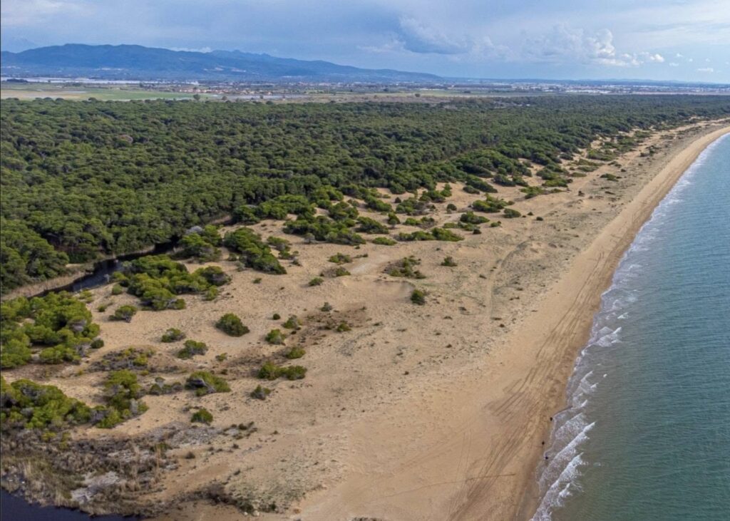 Καλογριά: Στα δικαστήρια, για καταθέσεις, η εκχώρηση παραλίας σε ιδιώτη ΦΩΤΟ 30 Καλογριά: Στα δικαστήρια, για καταθέσεις, η εκχώρηση παραλίας σε ιδιώτη ΦΩΤΟ