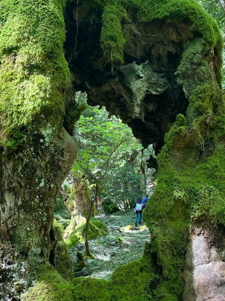 Ο ΕΟΣ Πάτρας στον Λαδοπόταμο για το BioBlitz ΦΩΤΟ 33 Ο ΕΟΣ Πάτρας στον Λαδοπόταμο για το BioBlitz ΦΩΤΟ