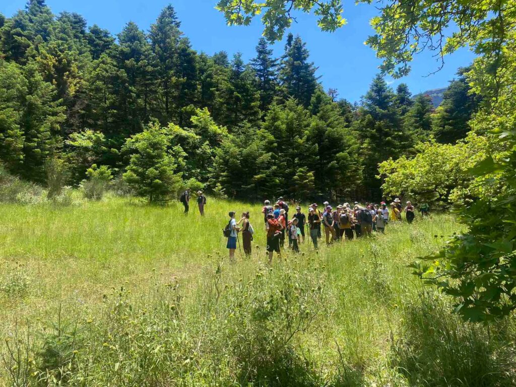 Ο ΕΟΣ Πάτρας στον Λαδοπόταμο για το BioBlitz ΦΩΤΟ 35 Ο ΕΟΣ Πάτρας στον Λαδοπόταμο για το BioBlitz ΦΩΤΟ