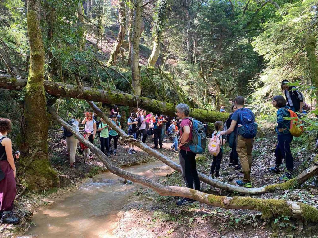 Ο ΕΟΣ Πάτρας στον Λαδοπόταμο για το BioBlitz ΦΩΤΟ 34 Ο ΕΟΣ Πάτρας στον Λαδοπόταμο για το BioBlitz ΦΩΤΟ