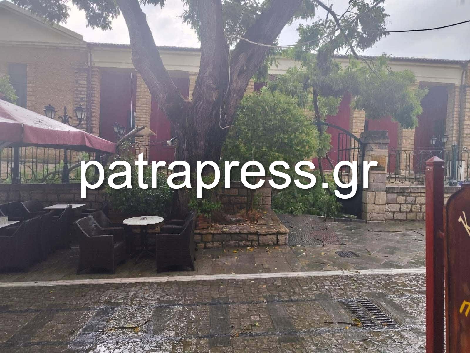 Καλάβρυτα: Η κακοκαιρία έριξε δέντρο στο Μουσείο Ολοκαυτώματος ΦΩΤΟ