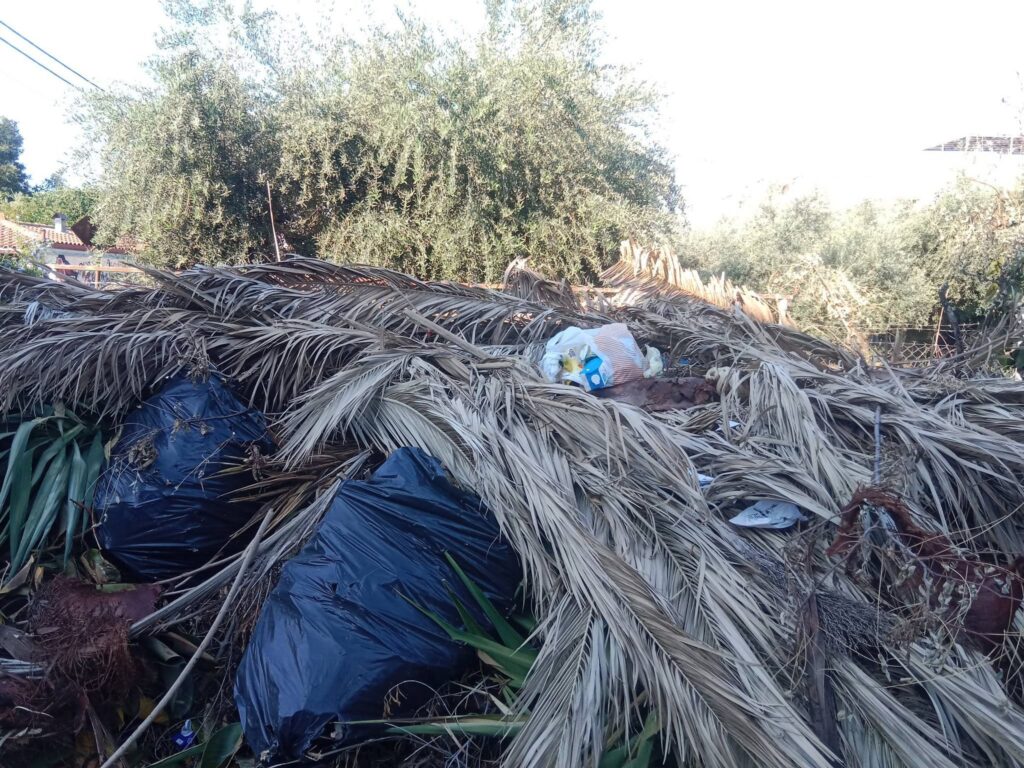 Εγλυκάδα: Αδιανόητη ασυνειδησία - Περίμεναν να κλείσουν τα σχολεία για να πετάξουν σκουπίδια... πάνω στα δέντρα ΦΩΤΟ 33 Εγλυκάδα: Αδιανόητη ασυνειδησία - Περίμεναν να κλείσουν τα σχολεία για να πετάξουν σκουπίδια... πάνω στα δέντρα ΦΩΤΟ