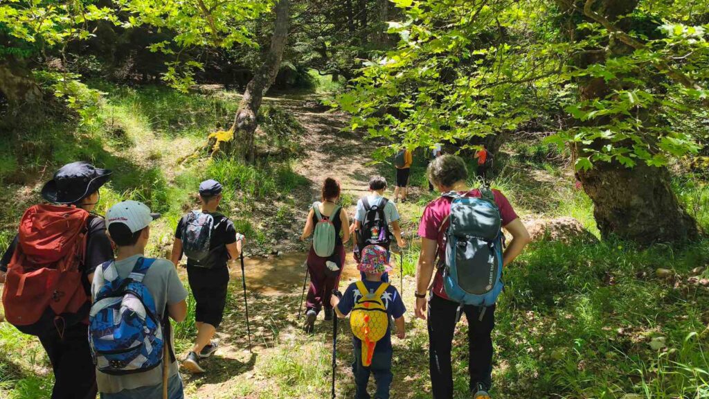 Ο ΕΟΣ Πάτρας στον Λαδοπόταμο για το BioBlitz ΦΩΤΟ 36 Ο ΕΟΣ Πάτρας στον Λαδοπόταμο για το BioBlitz ΦΩΤΟ