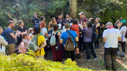 Ο ΕΟΣ Πάτρας στον Λαδοπόταμο για το BioBlitz ΦΩΤΟ 39 Εκδήλωση στο Λαδοπόταμο για το BioBlitz