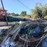 Εγλυκάδα: Αδιανόητη ασυνειδησία - Περίμεναν να κλείσουν τα σχολεία για να πετάξουν σκουπίδια... πάνω στα δέντρα ΦΩΤΟ