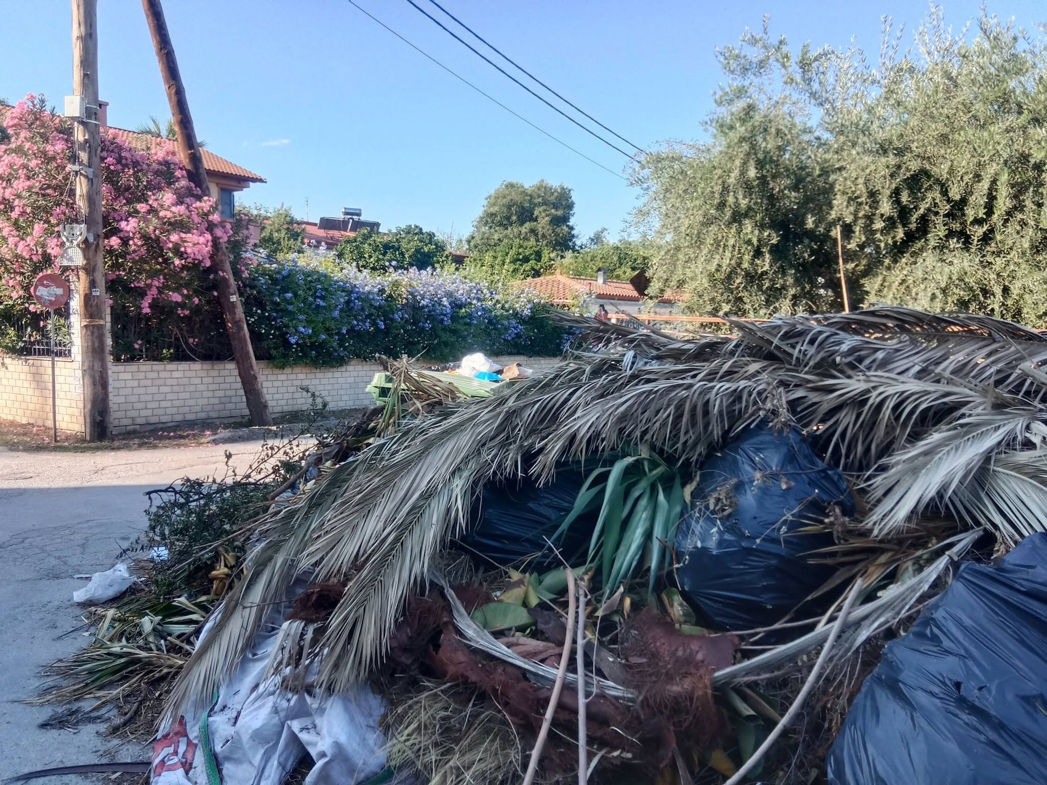 Εγλυκάδα: Αδιανόητη ασυνειδησία - Περίμεναν να κλείσουν τα σχολεία για να πετάξουν σκουπίδια... πάνω στα δέντρα ΦΩΤΟ 4 Εγλυκάδα: Αδιανόητη ασυνειδησία - Περίμεναν να κλείσουν τα σχολεία για να πετάξουν σκουπίδια... πάνω στα δέντρα ΦΩΤΟ