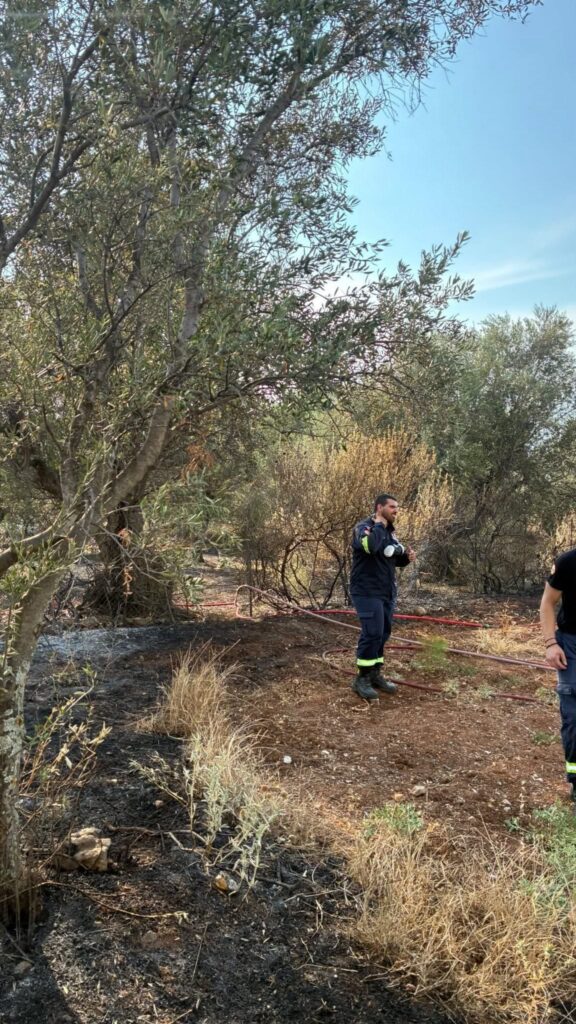 Αχαΐα: Σύλληψη για πρόκληση πυρκαγιάς στο Σαραβάλι - Φλόγες σε αγροτική έκταση ΦΩΤΟ 33 Αχαΐα: Σύλληψη για πρόκληση πυρκαγιάς στο Σαραβάλι - Φλόγες σε αγροτική έκταση ΦΩΤΟ