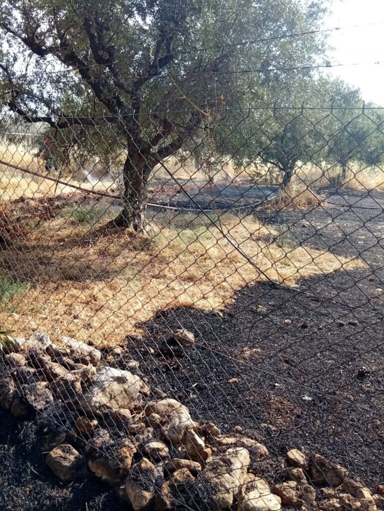 Αχαΐα: Σύλληψη για πρόκληση πυρκαγιάς στο Σαραβάλι - Φλόγες σε αγροτική έκταση ΦΩΤΟ 31 Αχαΐα: Σύλληψη για πρόκληση πυρκαγιάς στο Σαραβάλι - Φλόγες σε αγροτική έκταση ΦΩΤΟ