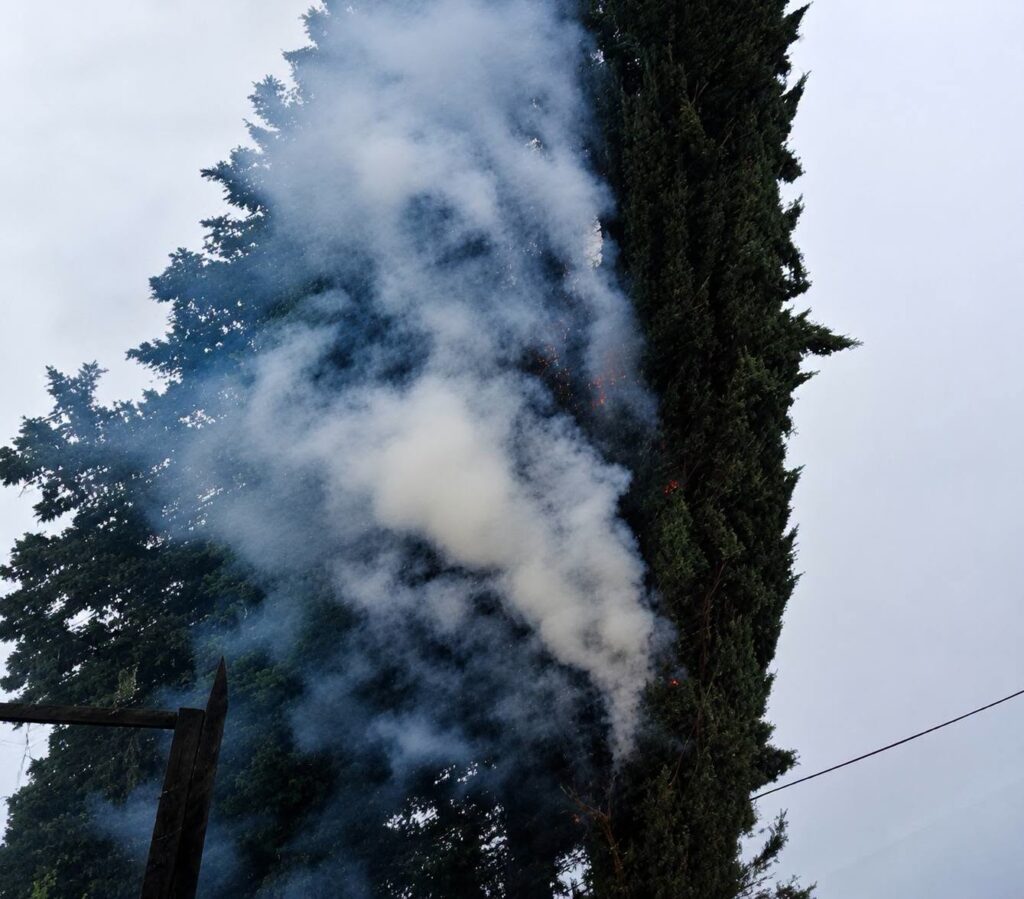 Καλάβρυτα: Αυτοκίνητα καταπλακώθηκαν, πεύκα κάηκαν από την κακοκαιρία ΦΩΤΟ 31 Καλάβρυτα: Αυτοκίνητα καταπλακώθηκαν, πεύκα κάηκαν από την κακοκαιρία ΦΩΤΟ