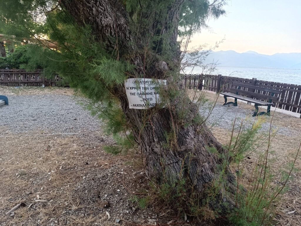 Ψαθόπυργος: Σκουριά και εγκατάλειψη στην παραθαλάσσια Παιδική χαρά...«παγίδα θανάτου» ΦΩΤΟ 30 Ψαθόπυργος: Σκουριά και εγκατάλειψη στην παραθαλάσσια Παιδική χαρά...«παγίδα θανάτου» ΦΩΤΟ