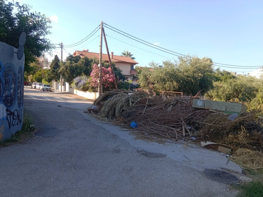 Εγλυκάδα: Αδιανόητη ασυνειδησία - Περίμεναν να κλείσουν τα σχολεία για να πετάξουν σκουπίδια... πάνω στα δέντρα ΦΩΤΟ 32 Εγλυκάδα: Αδιανόητη ασυνειδησία - Περίμεναν να κλείσουν τα σχολεία για να πετάξουν σκουπίδια... πάνω στα δέντρα ΦΩΤΟ