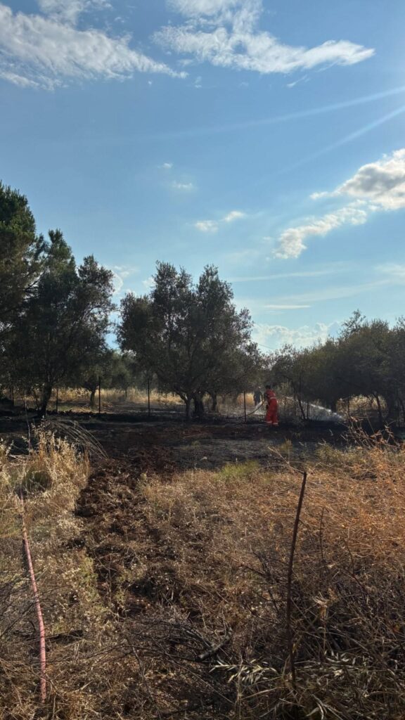 Αχαΐα: Σύλληψη για πρόκληση πυρκαγιάς στο Σαραβάλι - Φλόγες σε αγροτική έκταση ΦΩΤΟ 34 Αχαΐα: Σύλληψη για πρόκληση πυρκαγιάς στο Σαραβάλι - Φλόγες σε αγροτική έκταση ΦΩΤΟ