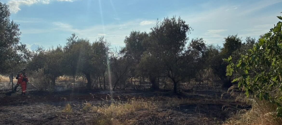 Ειδήσεις από την Πάτρα