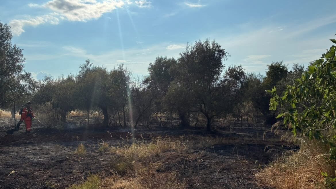 Αχαΐα: Σύλληψη για πυρκαγιά στο Σαραβάλι ΦΩΤΟ 4 Ειδήσεις από την Πάτρα