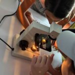 «Μαθαίνω – Παίζω – Δημιουργώ» από τα Αρσάκεια Πατρών ΦΩΤΟ