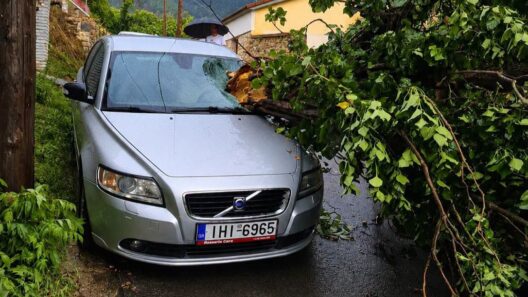 Καλάβρυτα: Αυτοκίνητα καταπλακώθηκαν, πεύκα κάηκαν από την κακοκαιρία ΦΩΤΟ 37 Καλάβρυτα: Αυτοκίνητα καταπλακώθηκαν, πεύκα κάηκαν από την κακοκαιρία ΦΩΤΟ