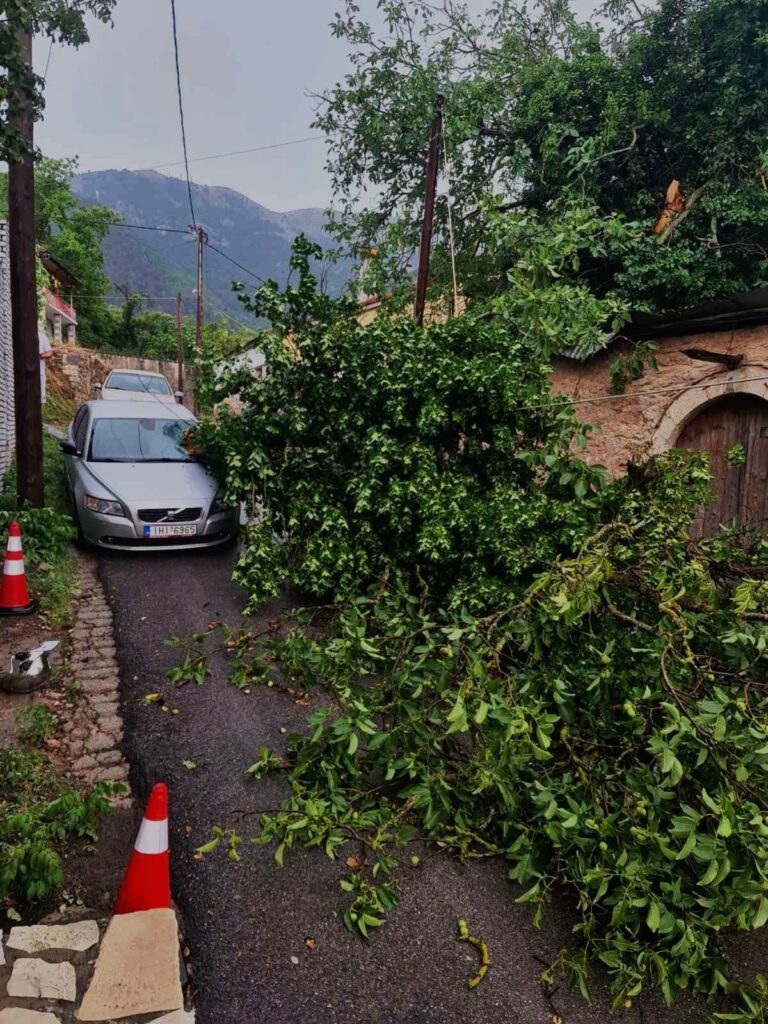 Καλάβρυτα: Αυτοκίνητα καταπλακώθηκαν, πεύκα κάηκαν από την κακοκαιρία ΦΩΤΟ 30 Καλάβρυτα: Αυτοκίνητα καταπλακώθηκαν, πεύκα κάηκαν από την κακοκαιρία ΦΩΤΟ