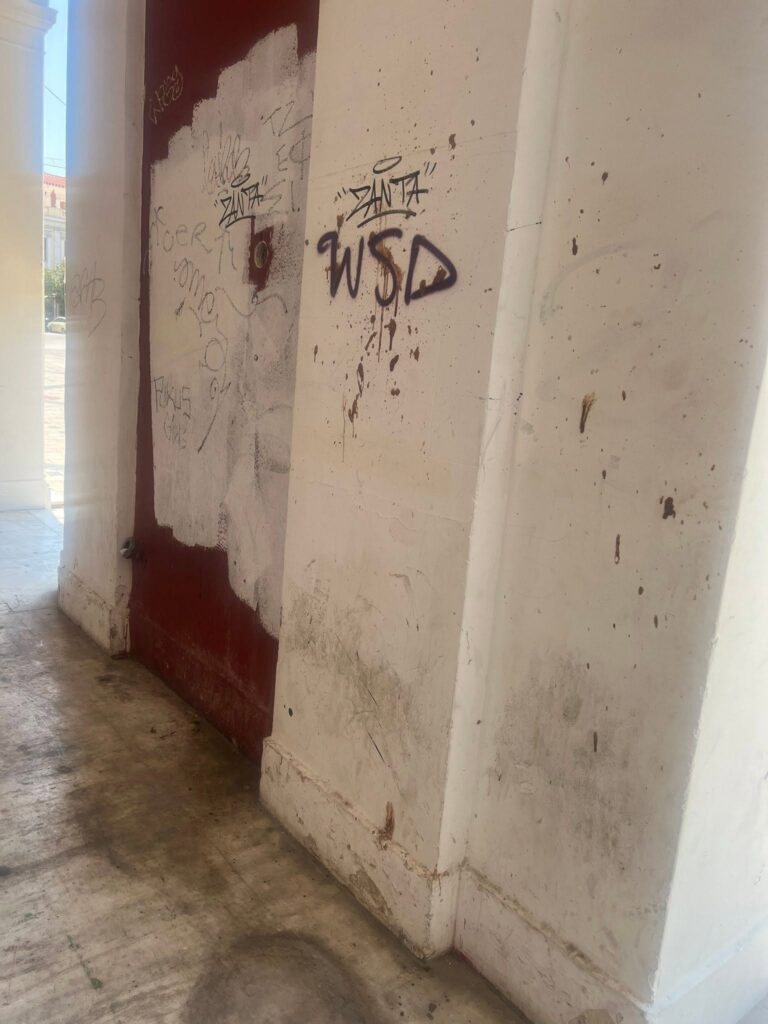 Πάτρα: Θλίψη και αγανάκτηση για την εικόνα εγκατάλειψης στο Δημοτικό Θέατρο Απόλλων ΦΩΤΟ 31 Πάτρα: Θλίψη και αγανάκτηση για την εικόνα εγκατάλειψης στο Δημοτικό Θέατρο Απόλλων ΦΩΤΟ