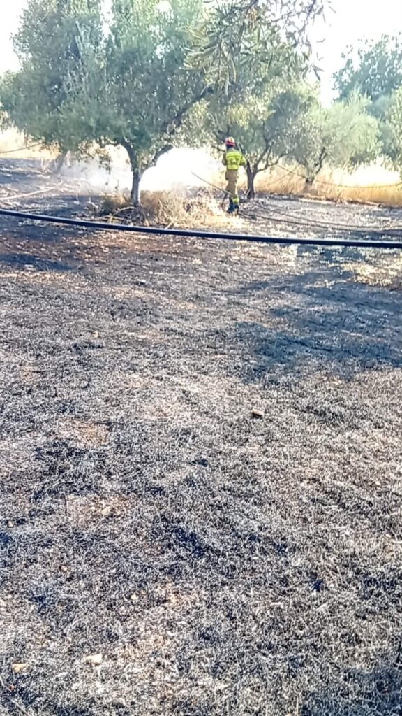 Αχαΐα: Σύλληψη για πρόκληση πυρκαγιάς στο Σαραβάλι - Φλόγες σε αγροτική έκταση ΦΩΤΟ 36 Αχαΐα: Σύλληψη για πρόκληση πυρκαγιάς στο Σαραβάλι - Φλόγες σε αγροτική έκταση ΦΩΤΟ