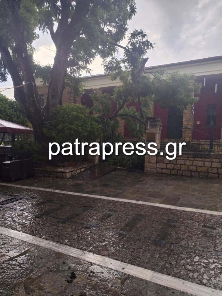 Καλάβρυτα: Η κακοκαιρία έριξε δέντρο στο Μουσείο Ολοκαυτώματος ΦΩΤΟ 30 Καλάβρυτα: Η κακοκαιρία έριξε δέντρο στο Μουσείο Ολοκαυτώματος ΦΩΤΟ