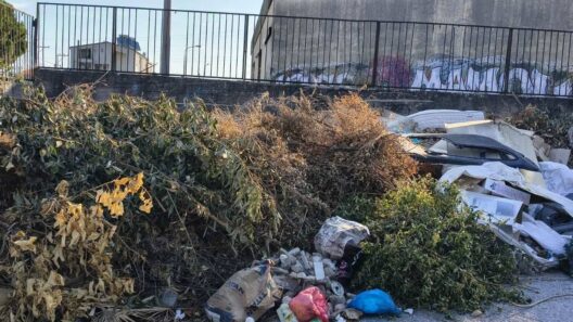 Καστελλόκαμπος: «Ωρολογιακή βόμβα» από ξερά χόρτα και σκουπίδια στην καρδιά του καλοκαιριού ΦΩΤΟ 36 Καστελλόκαμπος: «Ωρολογιακή βόμβα» από ξερά χόρτα και σκουπίδια στην καρδιά του καλοκαιριού ΦΩΤΟ