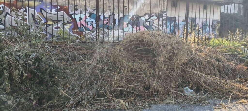 Καστελλόκαμπος: «Ωρολογιακή βόμβα» από ξερά χόρτα και σκουπίδια στην καρδιά του καλοκαιριού ΦΩΤΟ 29 Καστελλόκαμπος: «Ωρολογιακή βόμβα» από ξερά χόρτα και σκουπίδια στην καρδιά του καλοκαιριού ΦΩΤΟ