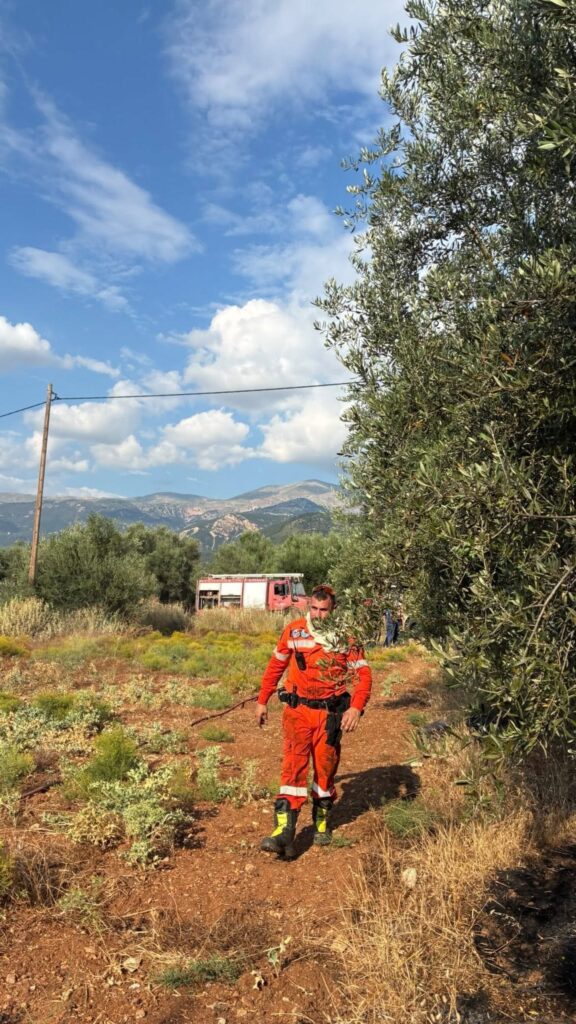 Αχαΐα: Σύλληψη για πρόκληση πυρκαγιάς στο Σαραβάλι - Φλόγες σε αγροτική έκταση ΦΩΤΟ 32 Αχαΐα: Σύλληψη για πρόκληση πυρκαγιάς στο Σαραβάλι - Φλόγες σε αγροτική έκταση ΦΩΤΟ