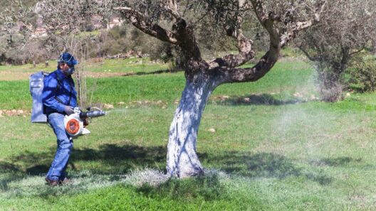 Δυτ. Ελλάδα: Υπογραφή προγραμματικής σύμβασης για την ψηφιακή αναβάθμιση της δακοκτονίας 36 Αγρότης ψεκάζει ελαιόδεντρο με ψεκαστήρα πλάτης για δακοκτονία σε…