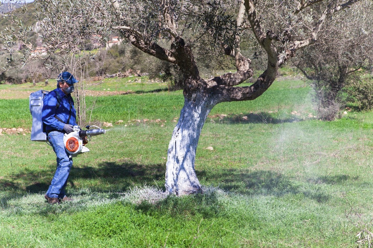 Δυτ. Ελλάδα: Υπογραφή προγραμματικής σύμβασης για την ψηφιακή αναβάθμιση της δακοκτονίας 4 Αγρότης ψεκάζει ελαιόδεντρο με ψεκαστήρα πλάτης για δακοκτονία σε…